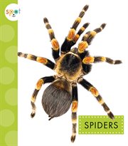 Spiders cover image cdn