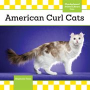 American curl cats cover image cdn
