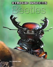 Beetles cover image cdn