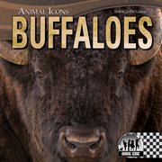 Buffaloes cover image cdn