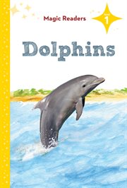 Dolphins cover image cdn