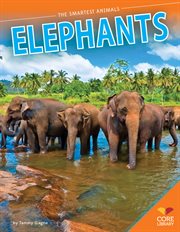 Elephants cover image cdn