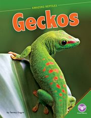 Geckos cover image cdn