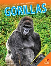 Gorillas cover image cdn