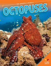 Octopuses cover image cdn