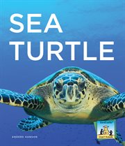 Sea turtle cover image cdn