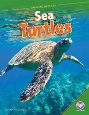 Sea turtles cover image cdn