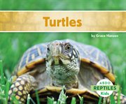 Turtles cover image cdn