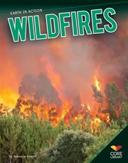 Wildfires cover image cdn