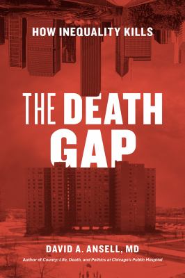 The death gap : how inequality kills cover image