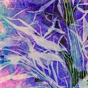 Creature feature cover image cdn