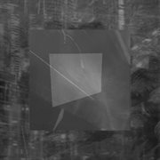 Injured cover image cdn