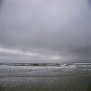 Salting cover image cdn