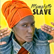 Slave cover image cdn