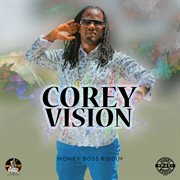 Vision cover image cdn