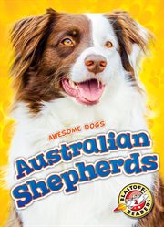 Australian shepherds cover image cdn