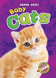 Baby cats cover image cdn