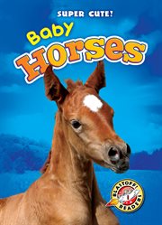 Baby horses cover image cdn