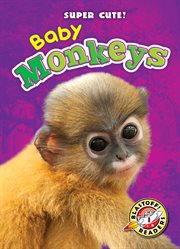 Baby monkeys cover image cdn