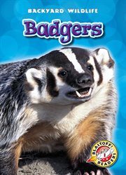 Badgers cover image cdn