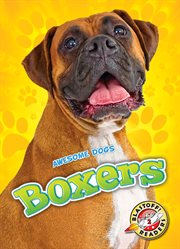 Boxers cover image cdn