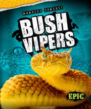 Bush vipers cover image cdn