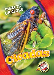 Cicadas cover image cdn