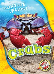 Crabs cover image cdn