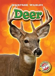 Deer cover image cdn