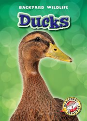 Ducks cover image cdn