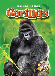 Gorillas cover image cdn