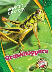 Grasshoppers cover image cdn