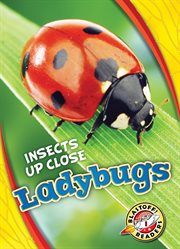 Ladybugs cover image cdn