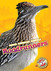 Roadrunners cover image cdn