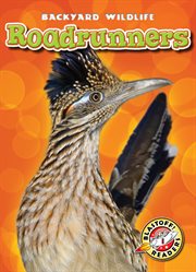 Roadrunners cover image cdn
