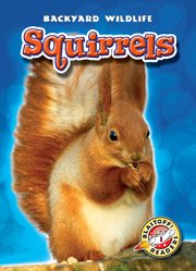 Squirrels cover image cdn