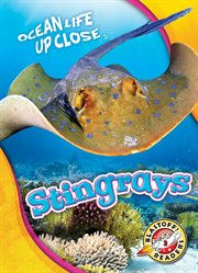 Stingrays cover image cdn