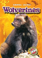Wolverines cover image cdn