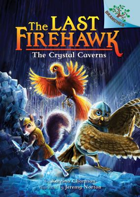 The Crystal Caverns  cover image cdn