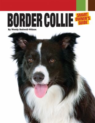Border collie  cover image cdn