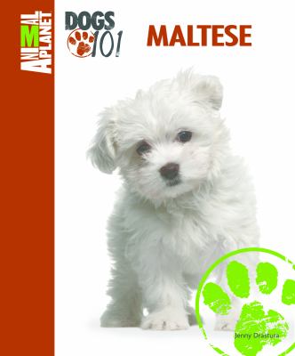Maltese  cover image cdn