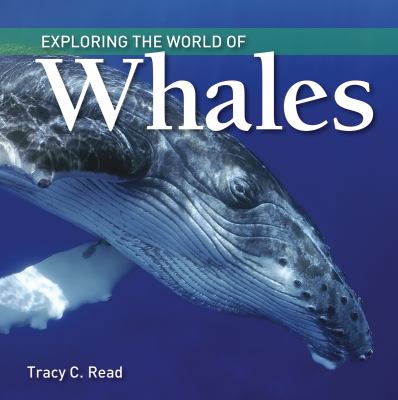 Exploring the world of whales cover image