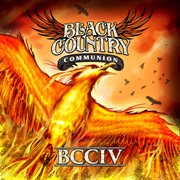 BCCIV cover image cdn