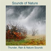Thunder, rain & nature sounds cover image cdn