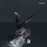 Vakum cover image cdn