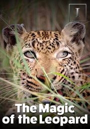 The magic of the leopard cover image cdn