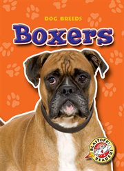 Boxers cover image cdn
