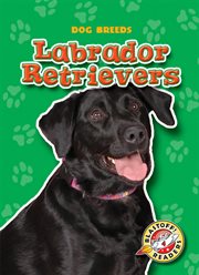 Labrador retrievers cover image cdn