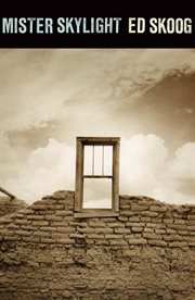 Mister Skylight cover image cdn