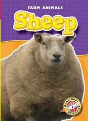 Sheep cover image cdn